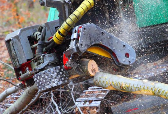 Lubrifiants pour les travaux forestiers avec machines