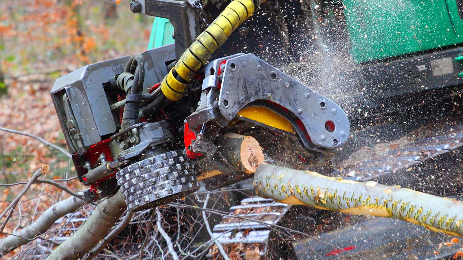 Lubrifiants pour les travaux forestiers avec machines